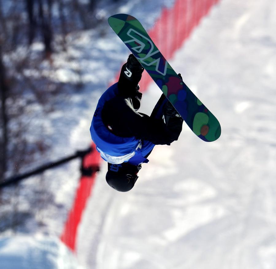 瑞典选手在滑雪比赛中展现出色技术