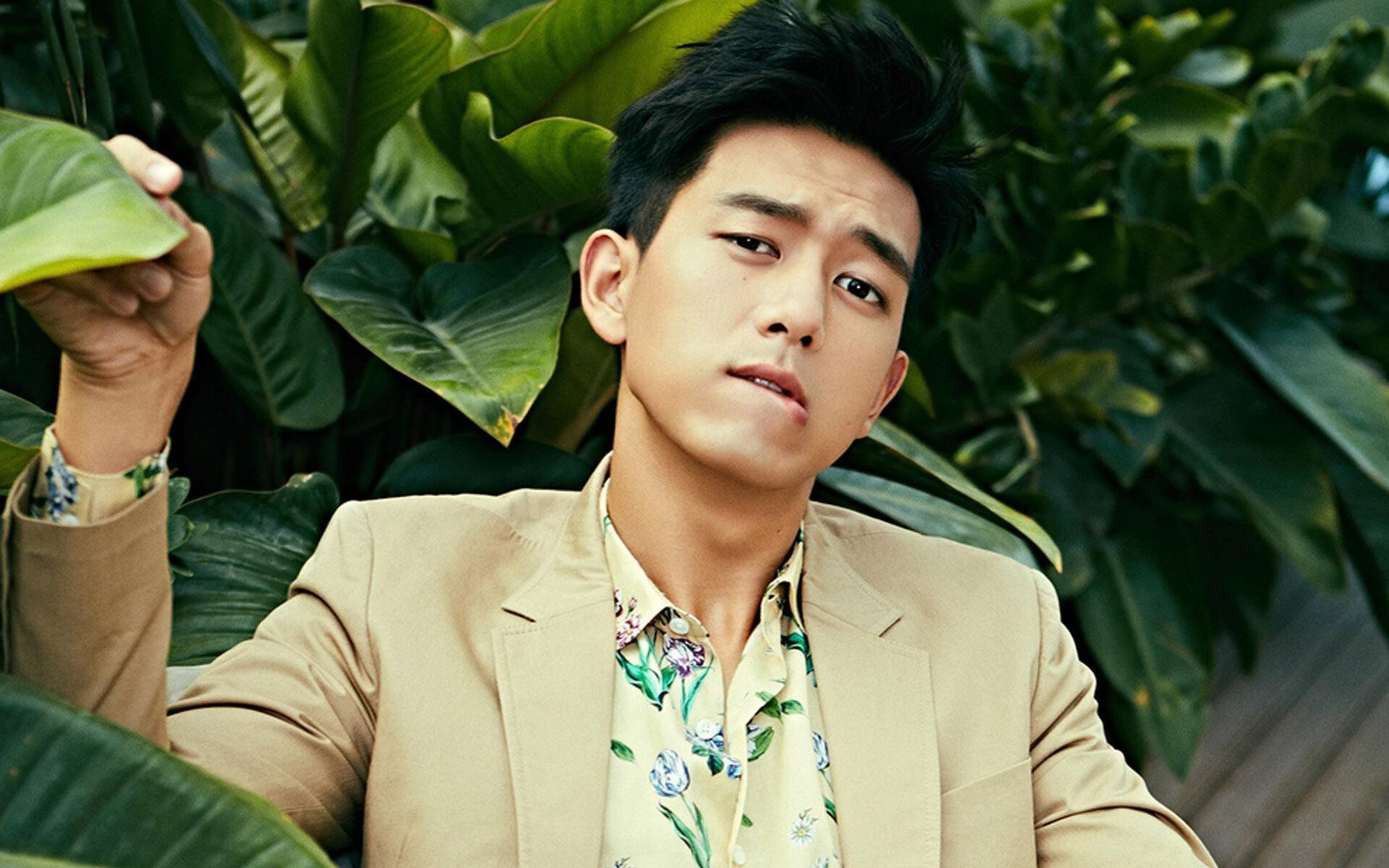 金玟哉铸就叹息之墙,安哥拉闪电战击碎法国神话