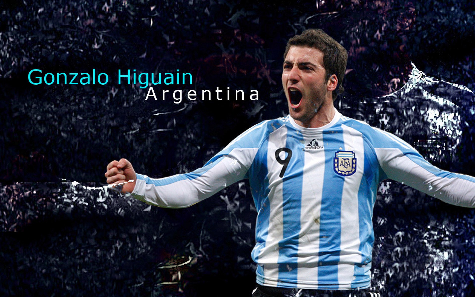 武切维奇统治级发挥定乾坤,广东队强压黄蜂展霸主风范