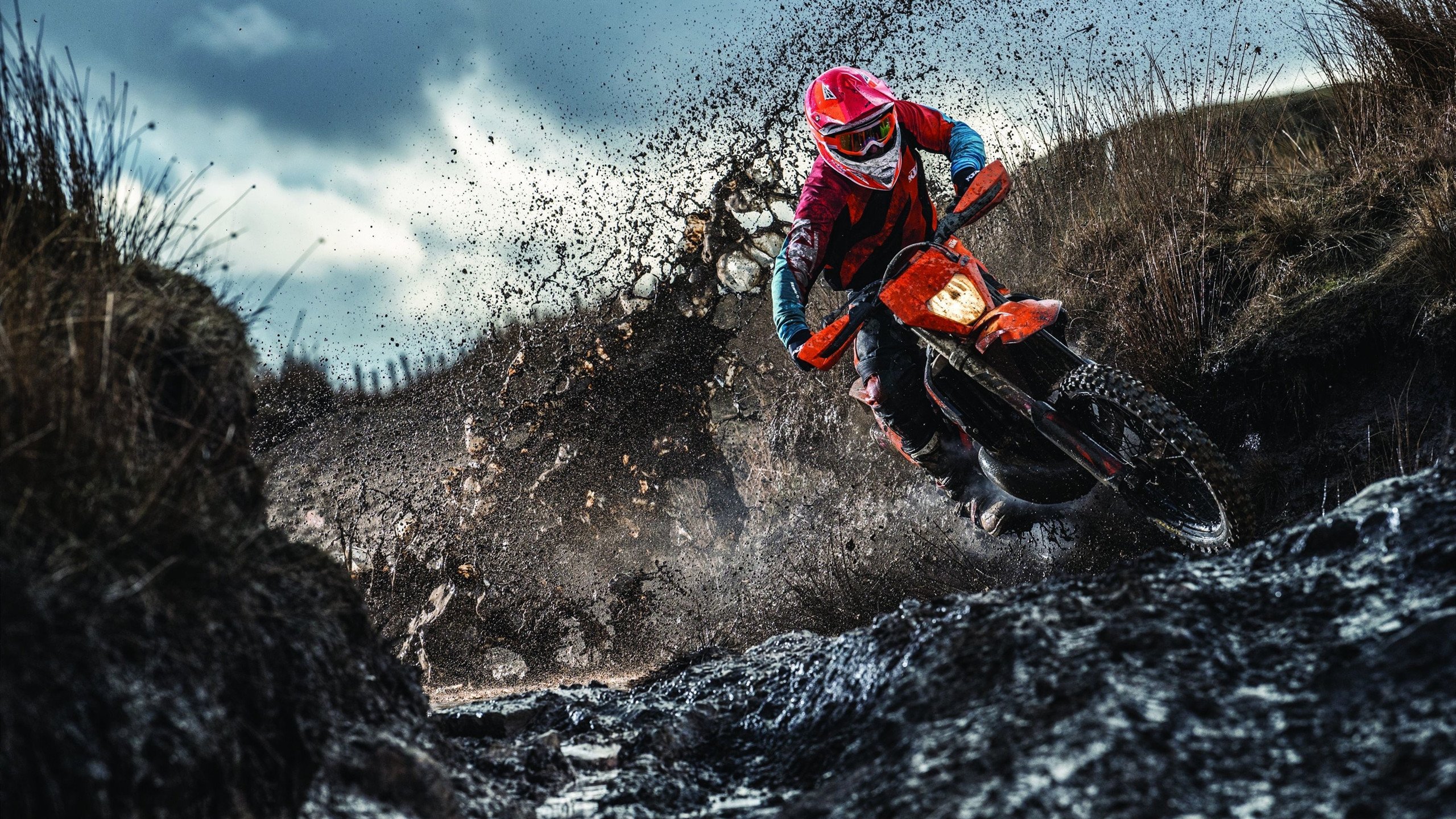 北欧铁壁对法兰西之矛，佩德里防守艺术如何助芬兰完胜里昂